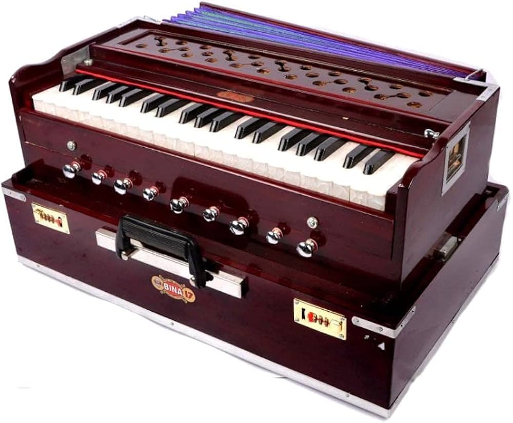 Harmonium indiano Bina con tastiera e registri visibili