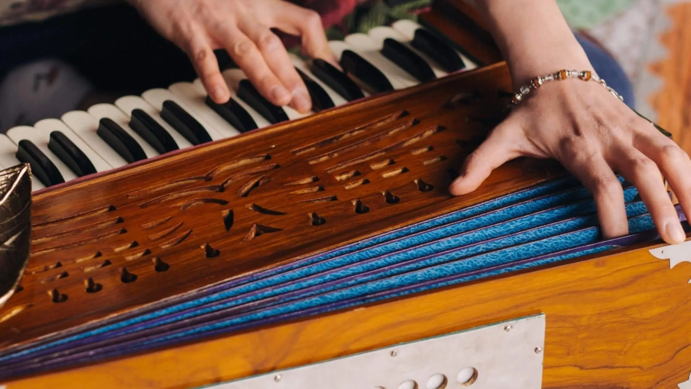 Corpo intagliato di un harmonium indiano con mantice blu